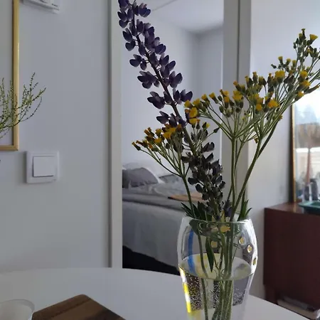 Sofia's House Warm Golf * Ελσίνκι