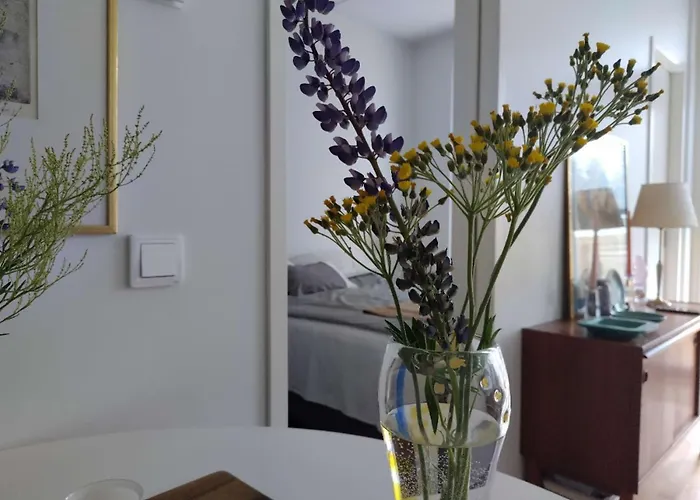 Sofia's House Warm Golf * 헬싱키